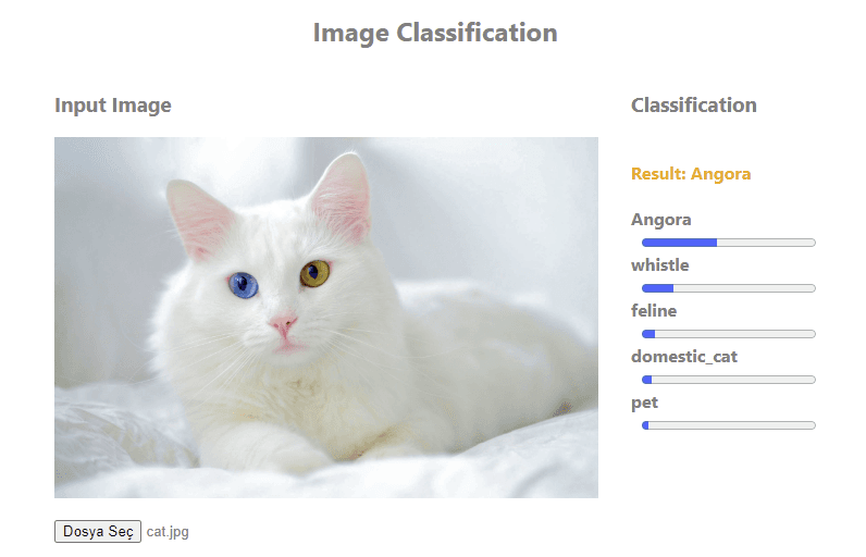 Image Classification App with ReactJS, Redux, SASS & Gradio API